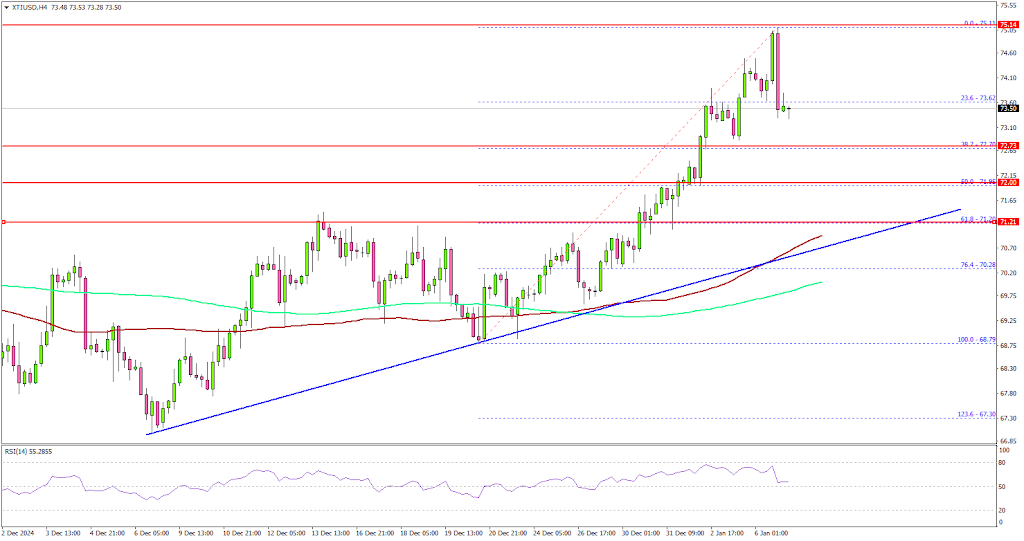 WTI Crude Oil Shows Signs of Recovery: Is the Upward Trend Sustainable?